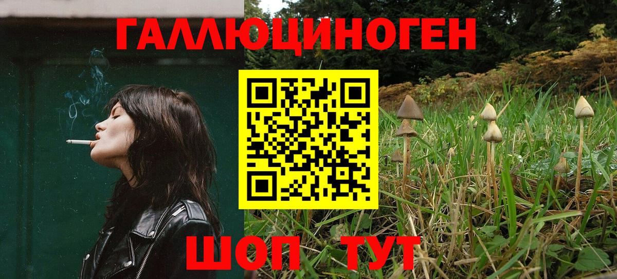 Мурино  Псилоцибиновые грибы мицелий  Псилоцибиновые грибы мухоморы  Вход с VPN 