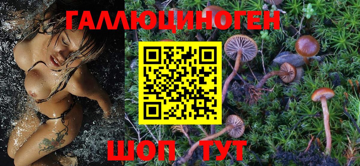 Псилоцибиновые грибы мухоморы Мурино