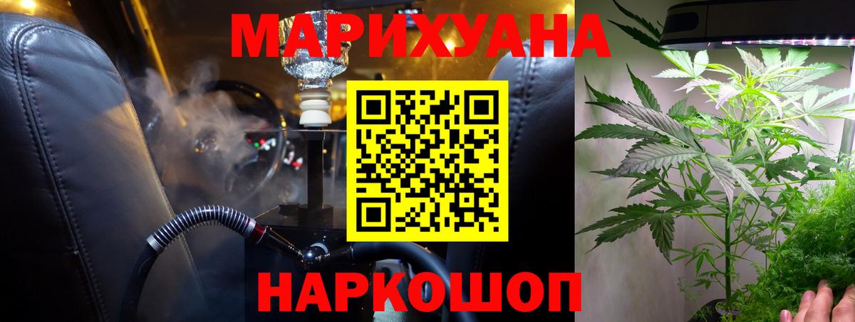 Каннабис планчик Мурино